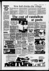 Hoddesdon and Broxbourne Mercury Friday 03 August 1984 Page 17