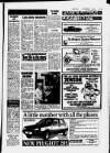 Hoddesdon and Broxbourne Mercury Friday 07 September 1984 Page 15
