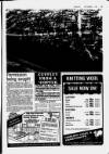 Hoddesdon and Broxbourne Mercury Friday 07 September 1984 Page 29