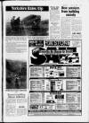 Hoddesdon and Broxbourne Mercury Friday 04 July 1986 Page 13