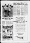 Hoddesdon and Broxbourne Mercury Friday 01 August 1986 Page 11
