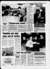 Hoddesdon and Broxbourne Mercury Friday 04 March 1988 Page 3