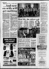 Bracknell Times Thursday 25 March 1993 Page 5