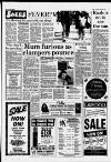 Bracknell Times Thursday 06 January 1994 Page 5