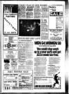 West Briton and Cornwall Advertiser Thursday 13 January 1977 Page 15