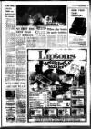 West Briton and Cornwall Advertiser Thursday 13 January 1977 Page 27