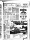 West Briton and Cornwall Advertiser Thursday 20 March 1980 Page 59
