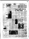 West Briton and Cornwall Advertiser Thursday 16 October 1980 Page 14