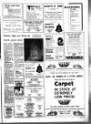 West Briton and Cornwall Advertiser Thursday 12 March 1981 Page 13