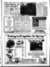 West Briton and Cornwall Advertiser Thursday 23 April 1981 Page 17