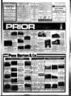 West Briton and Cornwall Advertiser Thursday 11 June 1981 Page 41