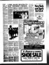 West Briton and Cornwall Advertiser Thursday 24 June 1982 Page 17