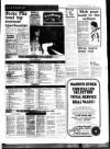West Briton and Cornwall Advertiser Thursday 26 May 1983 Page 22
