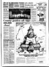 West Briton and Cornwall Advertiser Thursday 04 October 1984 Page 15