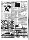West Briton and Cornwall Advertiser Thursday 01 November 1984 Page 38