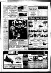 West Briton and Cornwall Advertiser Thursday 31 January 1985 Page 40