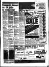 West Briton and Cornwall Advertiser Thursday 16 January 1986 Page 29