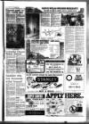 West Briton and Cornwall Advertiser Thursday 17 April 1986 Page 29
