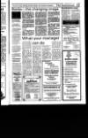 West Briton and Cornwall Advertiser Thursday 02 July 1987 Page 74