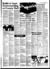 West Briton and Cornwall Advertiser Thursday 16 July 1987 Page 31
