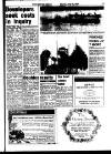 West Briton and Cornwall Advertiser Monday 20 July 1987 Page 17