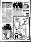 West Briton and Cornwall Advertiser Thursday 07 January 1988 Page 13