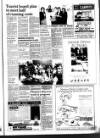 West Briton and Cornwall Advertiser Thursday 28 January 1988 Page 17