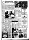 West Briton and Cornwall Advertiser Thursday 25 February 1988 Page 37