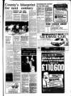 West Briton and Cornwall Advertiser Thursday 07 April 1988 Page 25