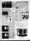 West Briton and Cornwall Advertiser Thursday 30 June 1988 Page 29