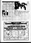 West Briton and Cornwall Advertiser Thursday 12 October 1989 Page 17