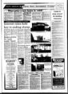 West Briton and Cornwall Advertiser Thursday 18 January 1990 Page 29