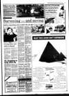 West Briton and Cornwall Advertiser Thursday 15 February 1990 Page 13