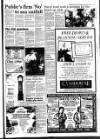 West Briton and Cornwall Advertiser Thursday 15 February 1990 Page 19