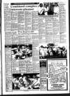 West Briton and Cornwall Advertiser Thursday 30 August 1990 Page 15