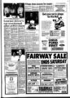 West Briton and Cornwall Advertiser Thursday 13 September 1990 Page 17