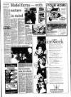 West Briton and Cornwall Advertiser Thursday 08 November 1990 Page 31