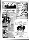 West Briton and Cornwall Advertiser Thursday 29 November 1990 Page 33