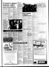 West Briton and Cornwall Advertiser Thursday 24 January 1991 Page 17