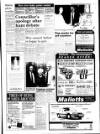 West Briton and Cornwall Advertiser Thursday 09 May 1991 Page 9