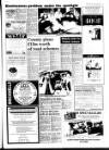 West Briton and Cornwall Advertiser Thursday 11 July 1991 Page 3
