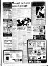West Briton and Cornwall Advertiser Thursday 19 December 1991 Page 13