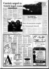West Briton and Cornwall Advertiser Thursday 14 January 1993 Page 17