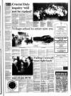 West Briton and Cornwall Advertiser Thursday 21 January 1993 Page 17