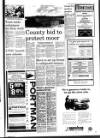 West Briton and Cornwall Advertiser Thursday 18 February 1993 Page 13
