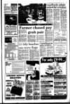 West Briton and Cornwall Advertiser Thursday 10 June 1993 Page 17