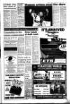West Briton and Cornwall Advertiser Thursday 17 June 1993 Page 3