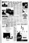 West Briton and Cornwall Advertiser Thursday 19 August 1993 Page 17