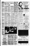 West Briton and Cornwall Advertiser Thursday 30 December 1993 Page 3