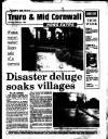 West Briton and Cornwall Advertiser Thursday 06 January 1994 Page 45